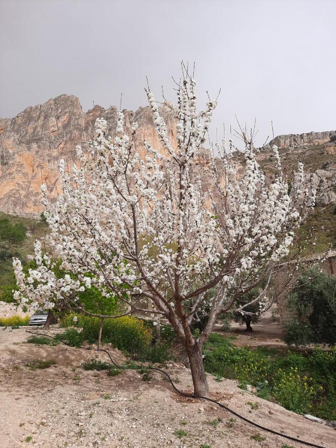 Cortijo El Chorreadero En Parque Natural Sierra De Cazorla Los Rosales  Екстер'єр фото