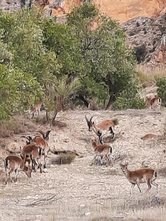 Cortijo El Chorreadero En Parque Natural Sierra De Cazorla Los Rosales  Екстер'єр фото