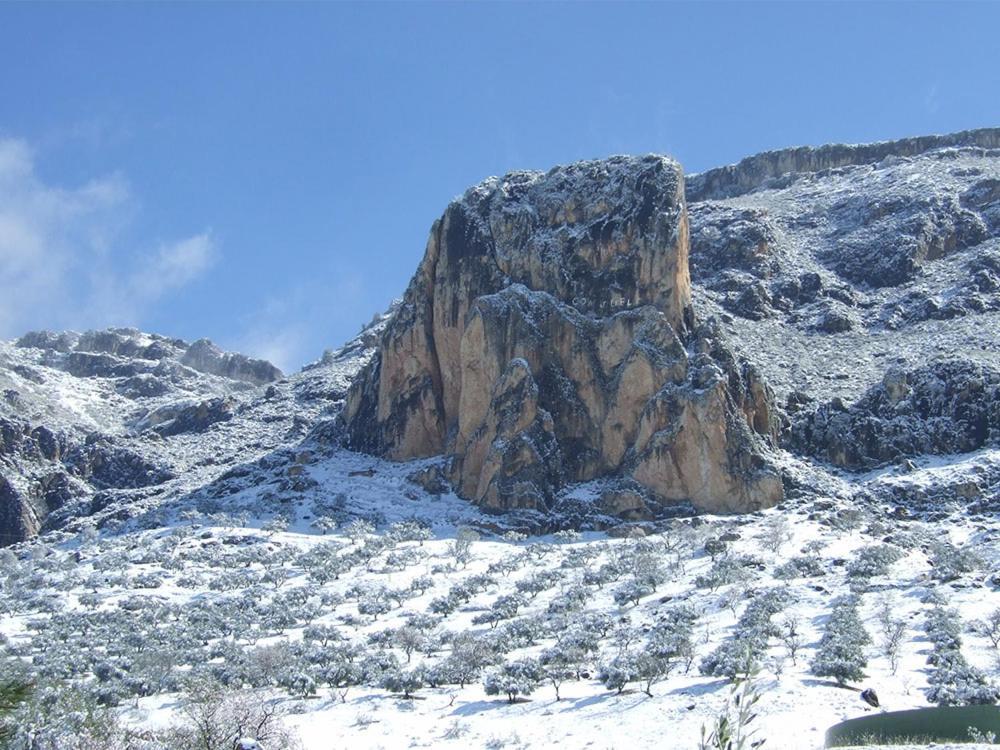 Cortijo El Chorreadero En Parque Natural Sierra De Cazorla Los Rosales  Екстер'єр фото
